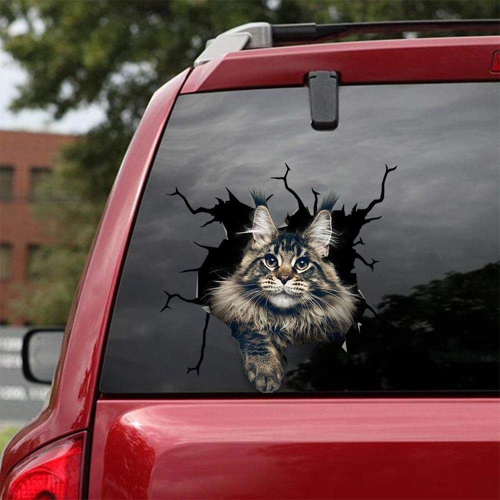 Maine Coon Cat Car Decals Pack of 2 - 10