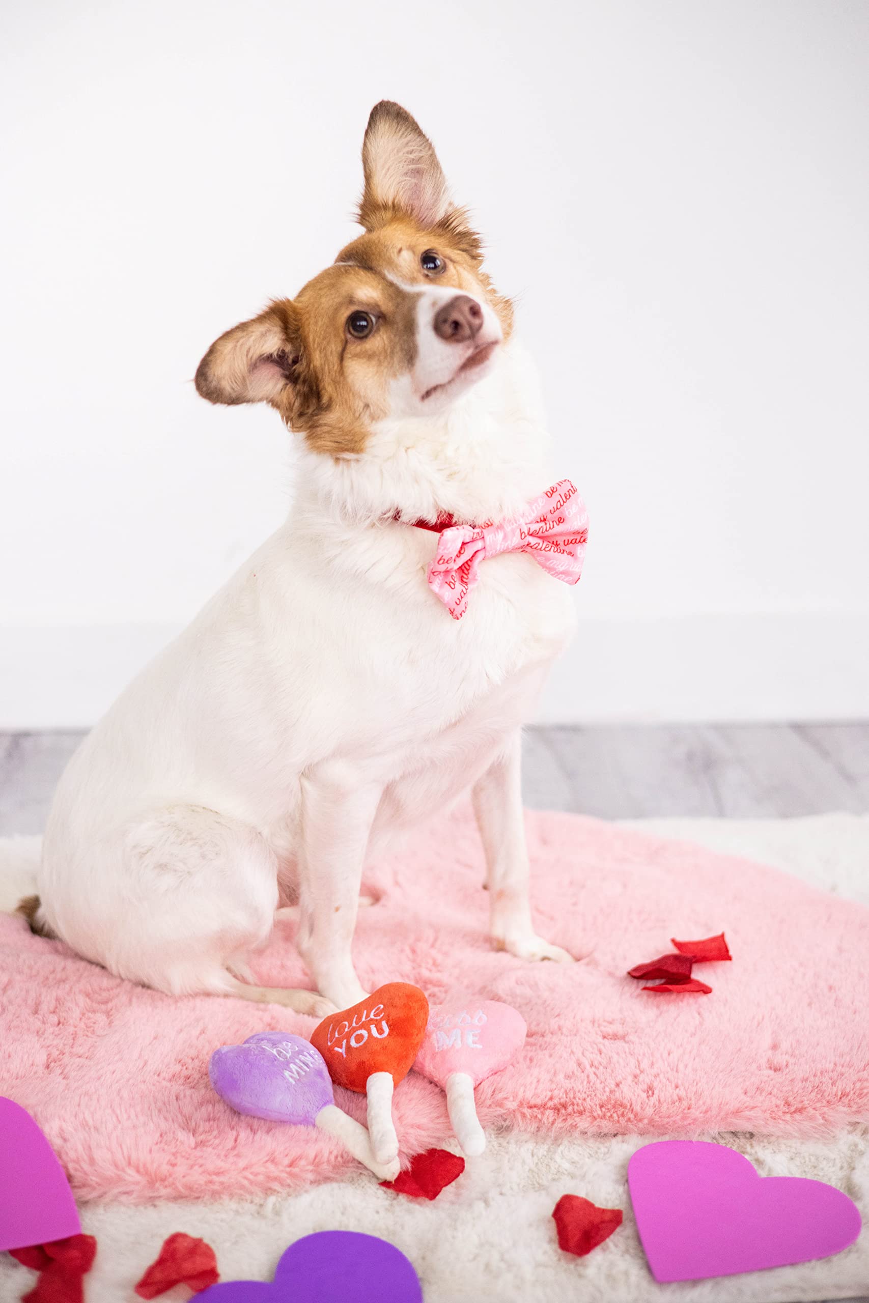 **Pearhead Valentine's Day Plush Dog Toys – 3-Pack Squeaky Holiday Pet Toys for Small & Medium Dogs | Cute Candy Heart Design, Perfect Gift for Pet Owners | Great for Playtime, Training & Special Occasions**
