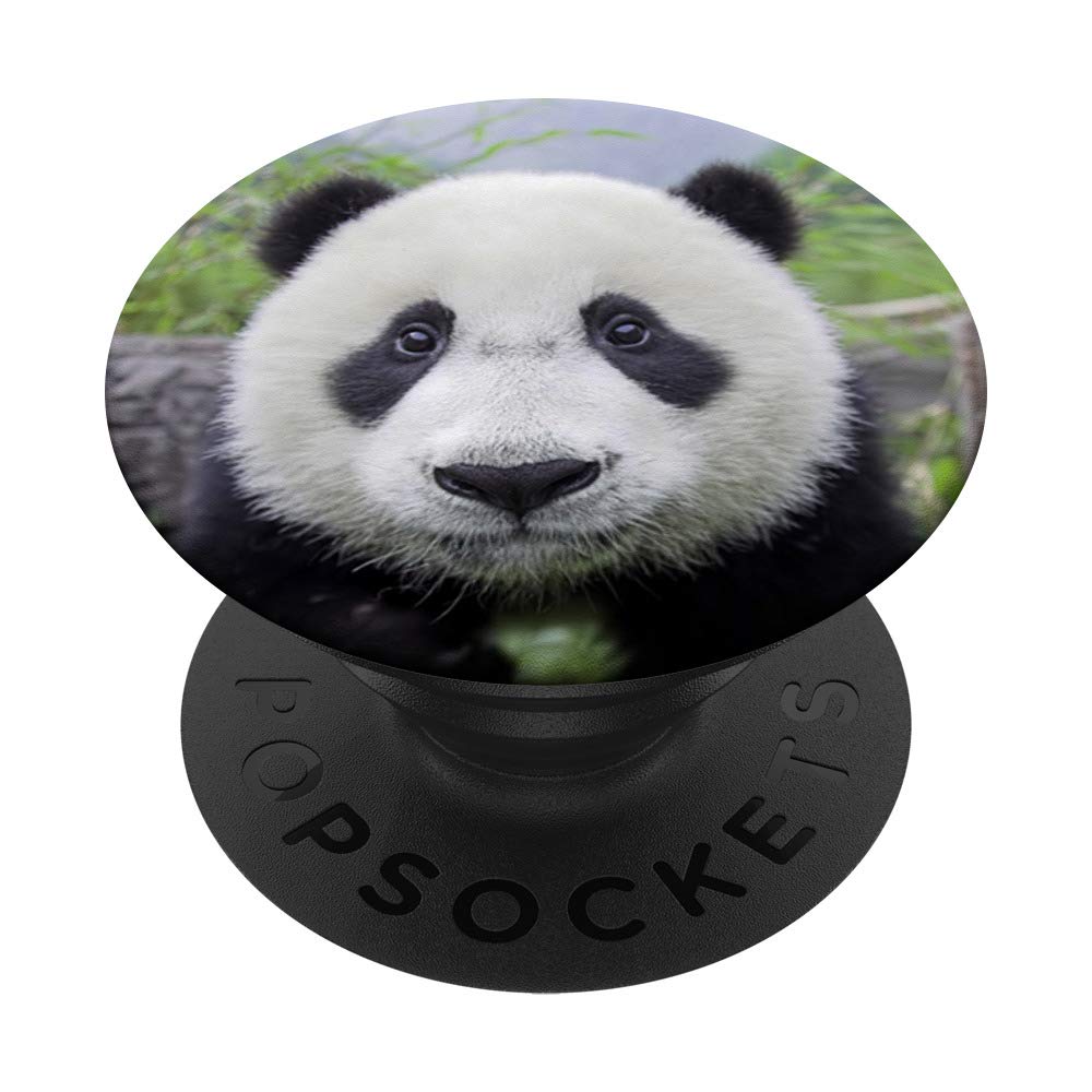 Adorable Baby Panda Bear PopSockets Grip - Interchangeable Phone & Tablet Stand with Swappable Base - Perfect for Selfies, Video Calls & Secure Phone Handling