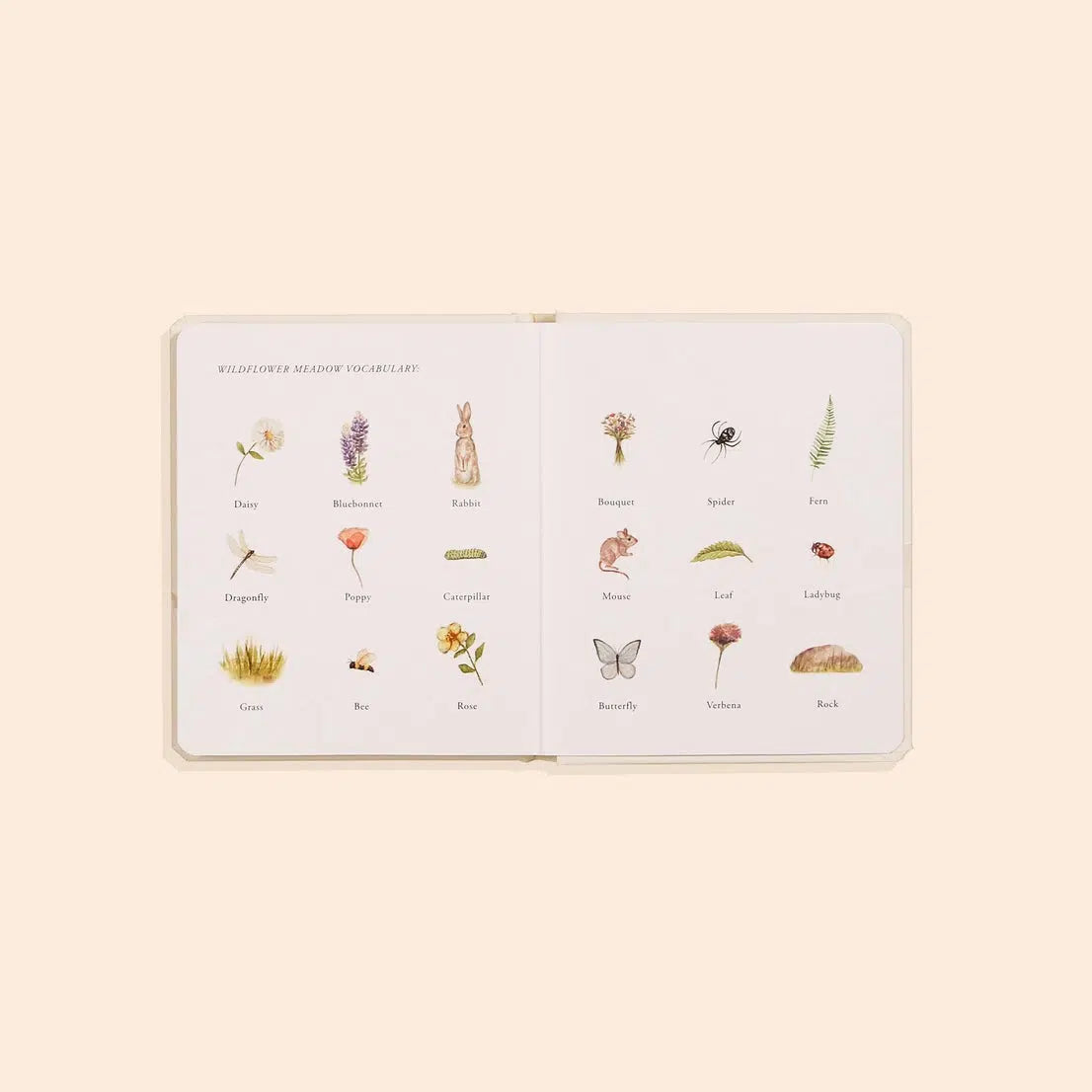 Our Little Adventures Box Set by Paige Tate & Co. – Fun & Educational Activity Books for Kids – Perfect for Storytime, Travel & Learning at Home