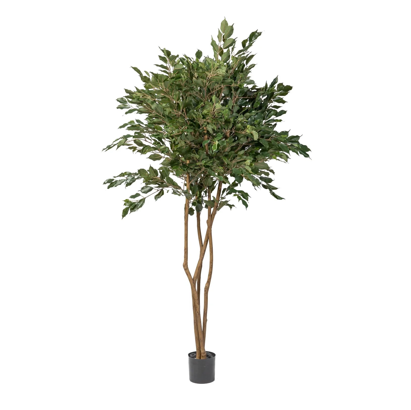 6.5 ft Ficus Tree Artificial Plant - Perfect for Home, Office & Indoor Decor | Low Maintenance & Realistic Foliage