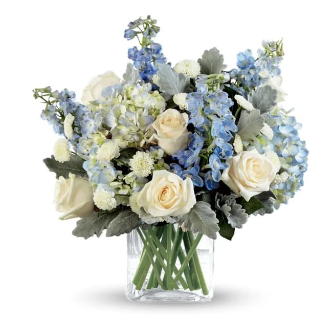 Same Day Sympathy Flowers Delivery - Peaceful Garden Blessings Arrangement for Funeral & Memorial Services - Fresh Sympathy Plants & Floral Gifts - Online Order for Condolences & Comfort