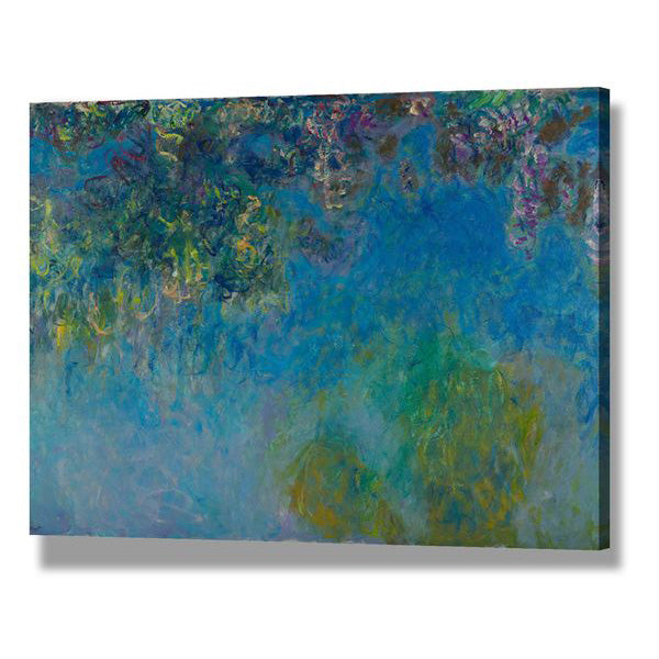 Wisteria