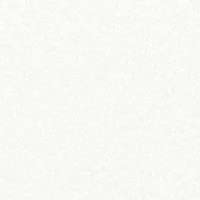 ULTRA WHITE (083)