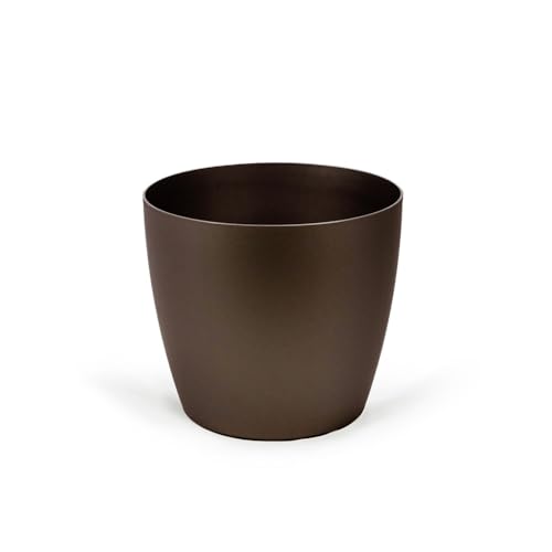 Metallic Espresso