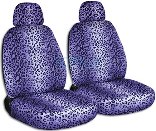 Purple Leopard