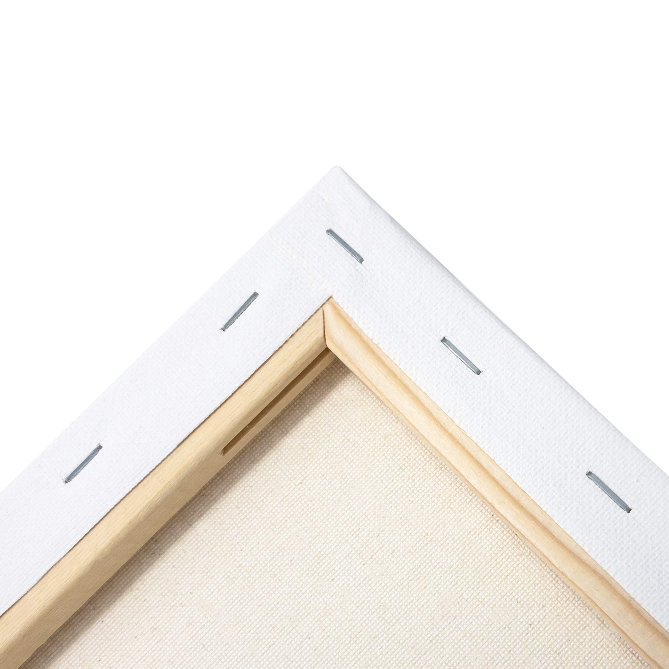 Premium 16x20 Inch Stretched Artist Canvas - Value Pack of 6 | Primed & Ready for Acrylic, Oil & Mixed Media Painting | 100% Cotton with Pine Wood Frame | Perfect for Studio Art, Classroom Projects & DIY Home Decor