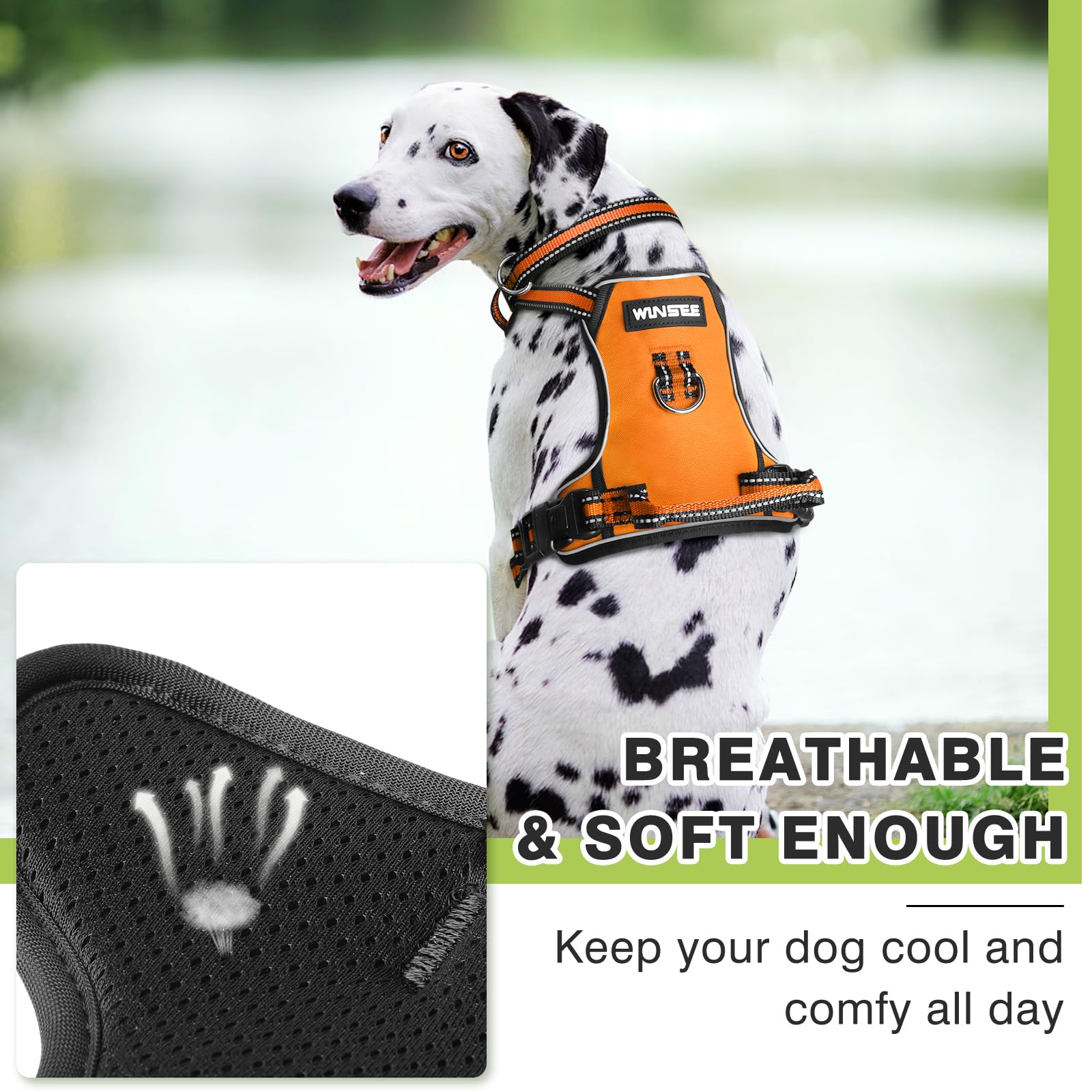 WINSEE No Pull Dog Harness with Collar - Adjustable Reflective Oxford Vest for Small Medium Large XL Dogs - Front & Back Leash Clips & Control Handle - Perfect for Walking, Hiking & Outdoor Adventures