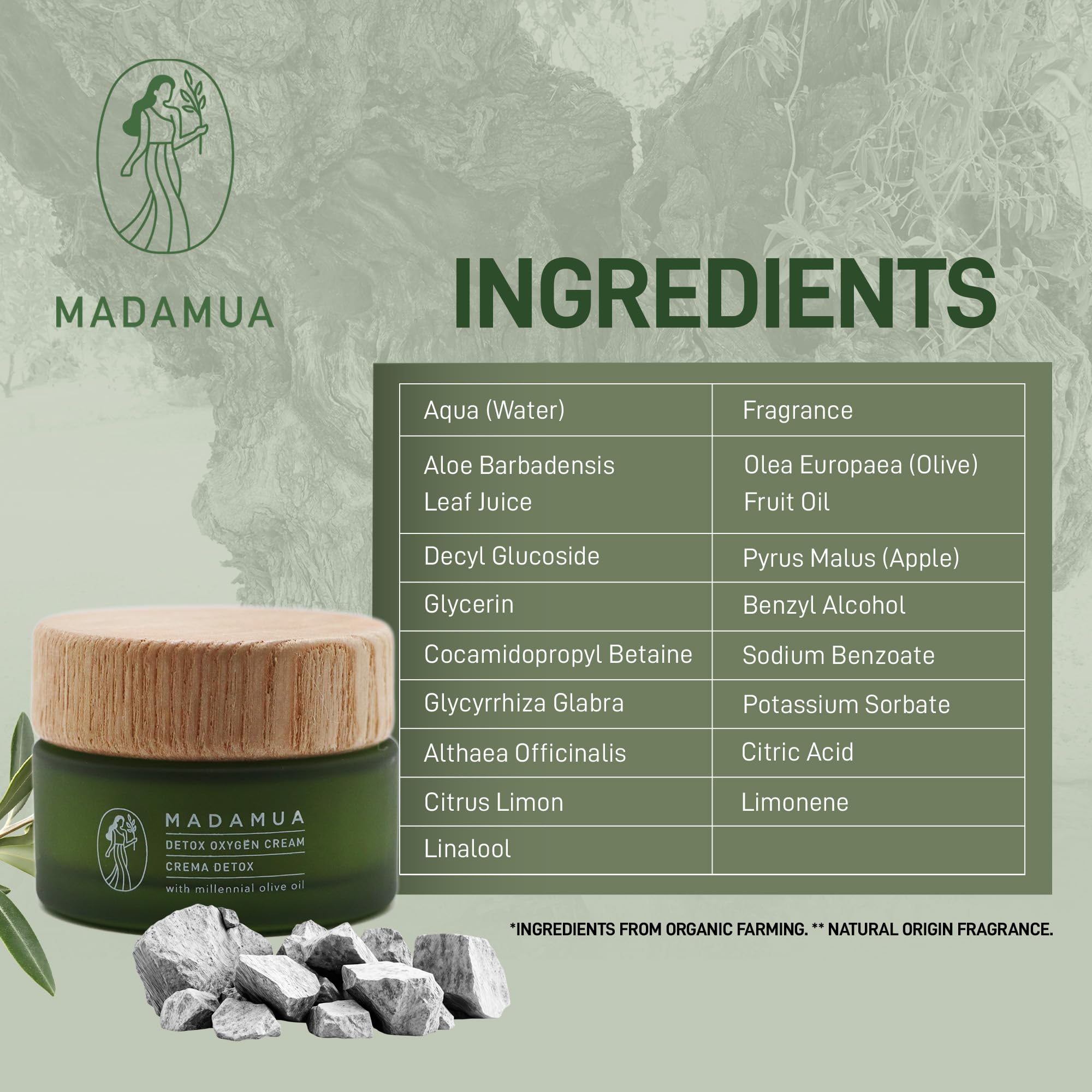 Detox Antioxidant Moisturizer Face Cream for Women - Lightweight Hydrating Facial Cream with Antioxidants for Dry Skin, Daily Skincare for Glowing Complexion | Perfect for Morning & Night Routine, Post-Workout Refresh, and Travel Skincare Essentials