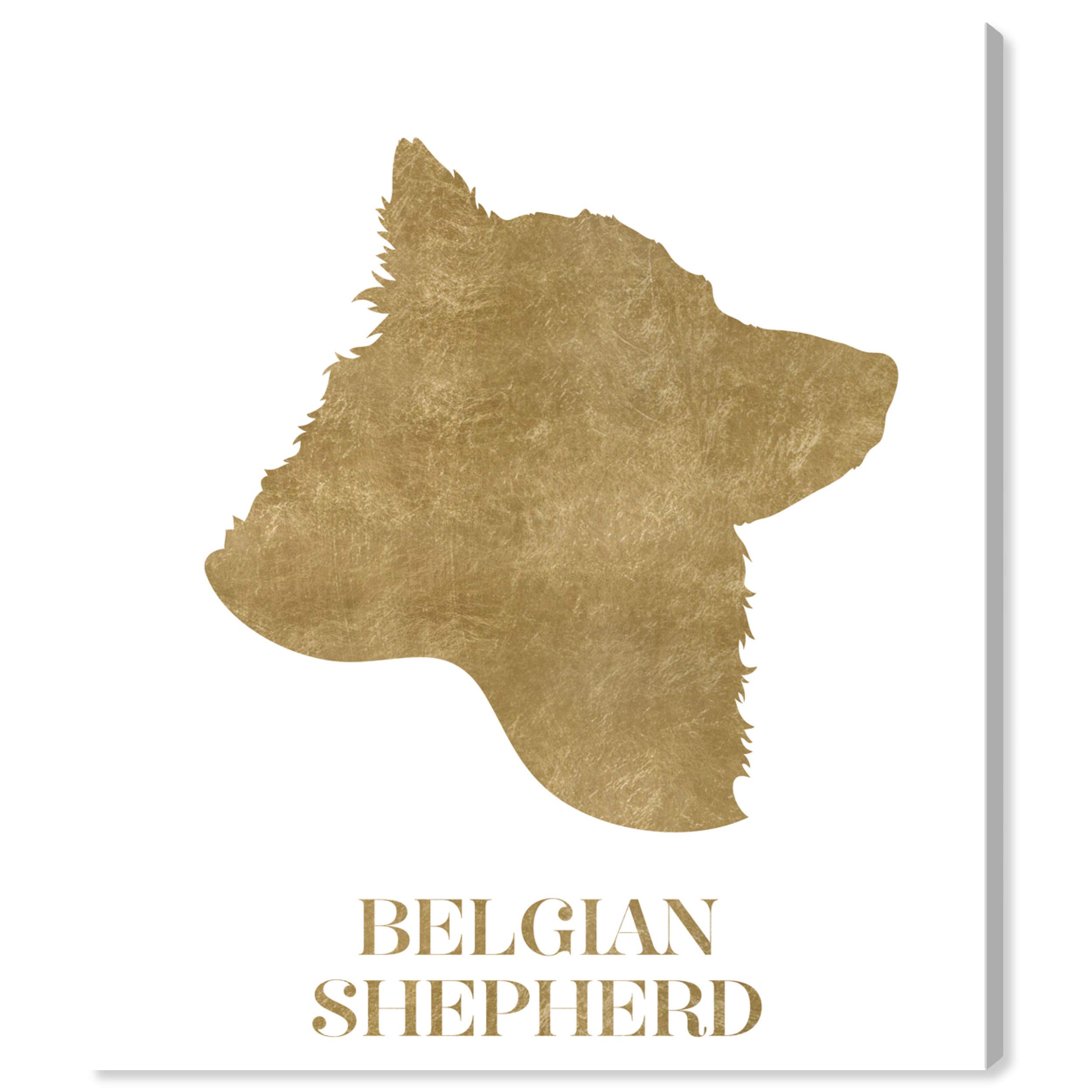 Oliver Gal Artist Co. Belgian Shepherd Wall Art Canvas Print - 20