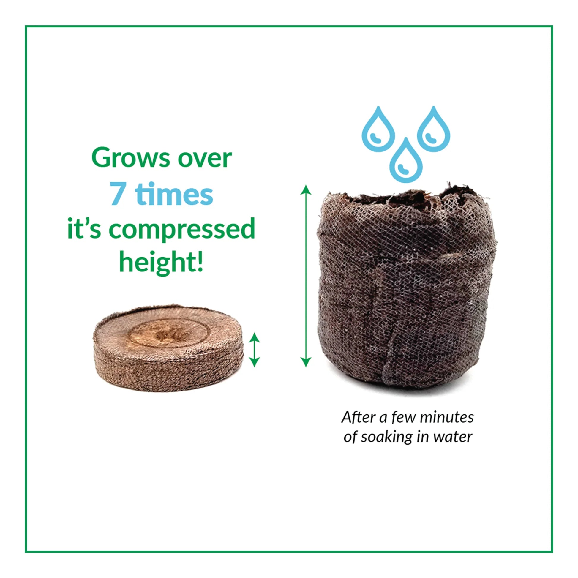 Jiffy Peat Pellets for Seed Starting - Organic Compressed Peat Moss Seed Starter Pellets - Ideal for Indoor Gardening, Greenhouses & Hydroponics