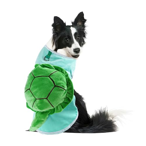 Green turtle