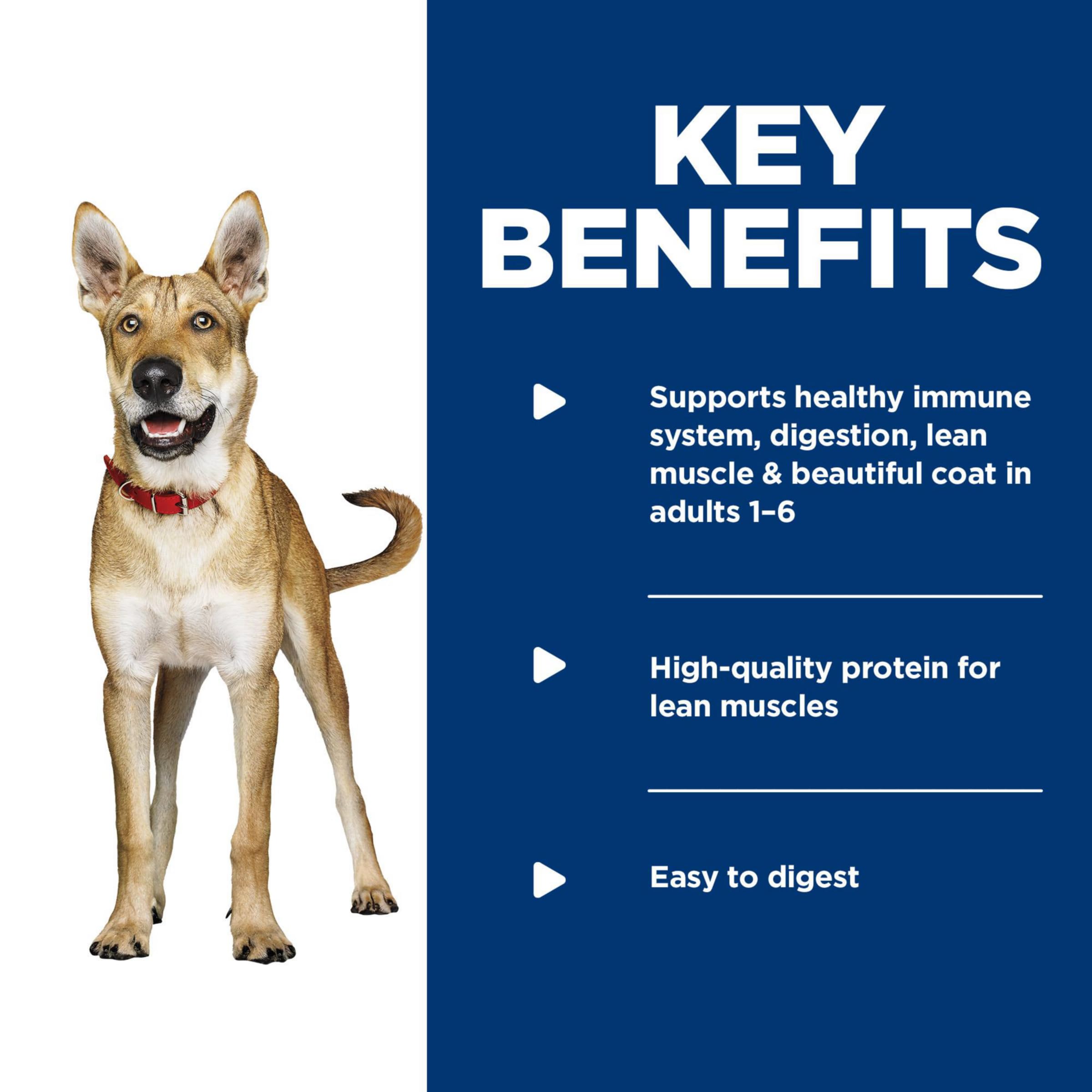 Hill's Science Diet Adult 1-6 Premium Nutrition Wet Dog Food Variety Pack - Chicken & Barley, Beef & Barley Loaf (13oz Cans, Pack of 12) | Complete Balanced Diet for Adult Dogs | Perfect for Mealtime, Training Rewards & Travel Feeding