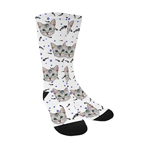 Cat 02