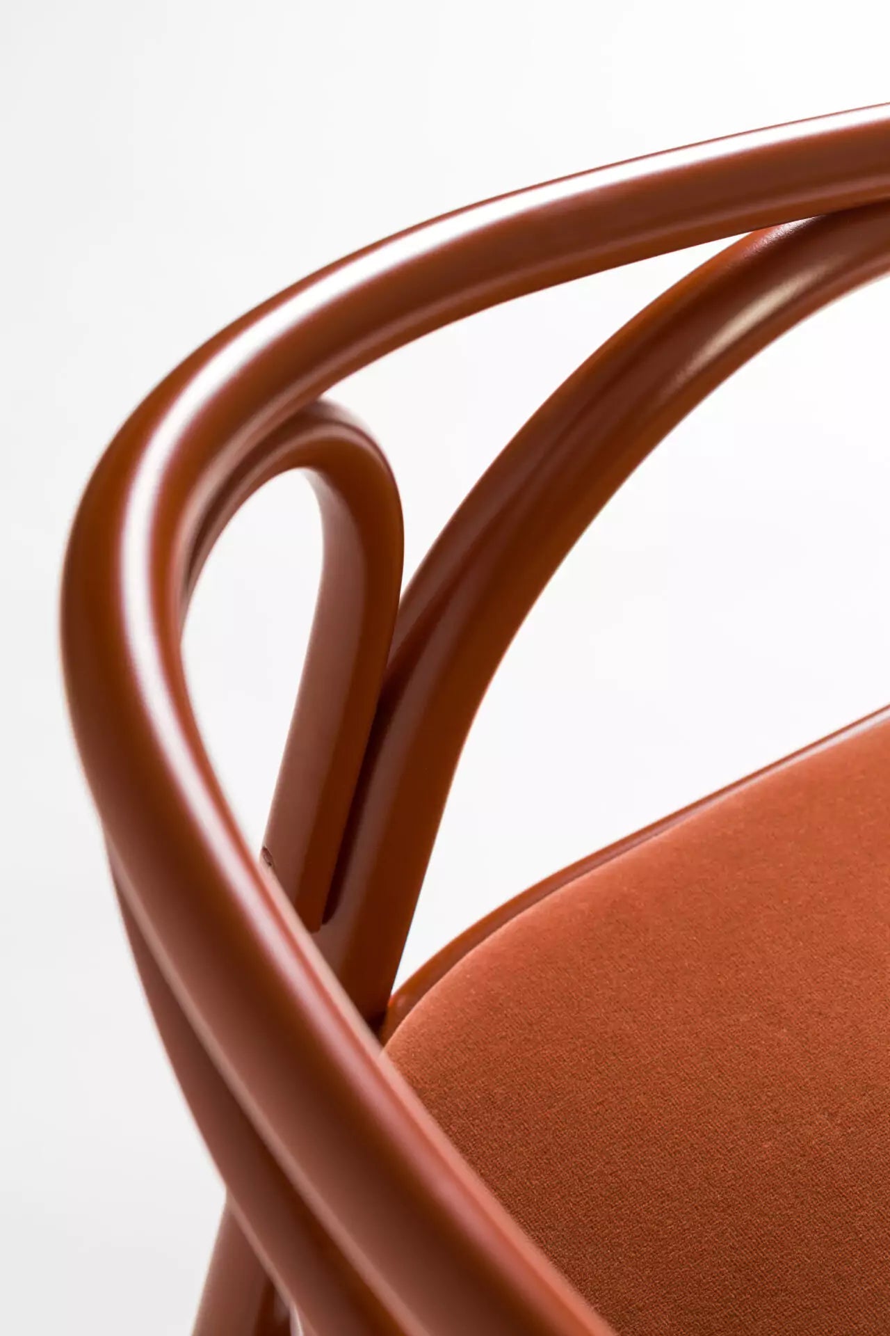 Beaulieu Bentwood Armchair by GTV - Modern Wooden Dining Chair for Kitchen, Restaurant & Office - Ergonomic Design for Comfortable Seating