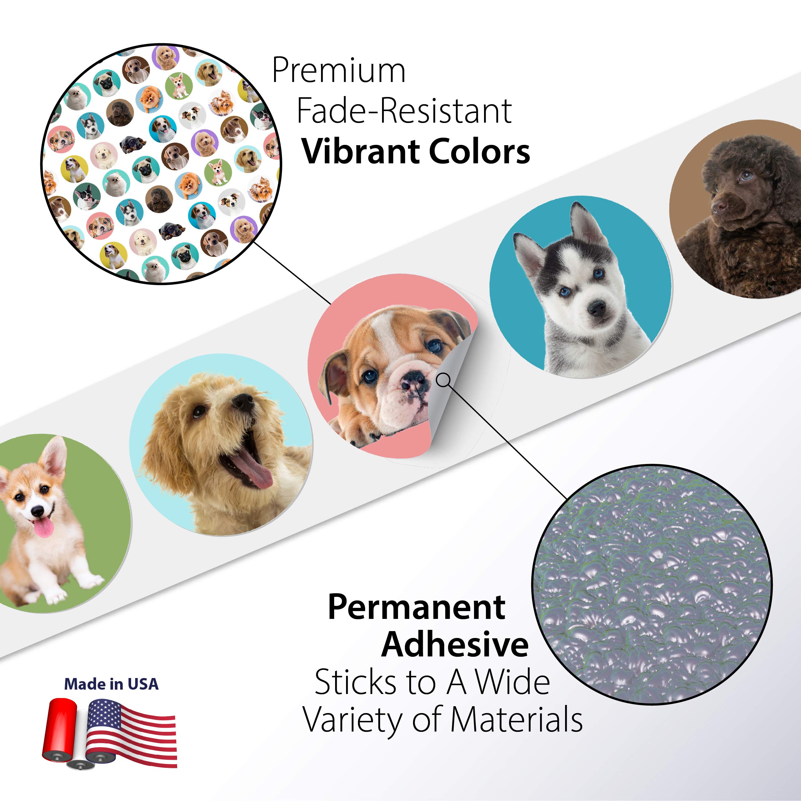 500 Fun Stickers for Kids - Puppies, Kittens, Emoji, Smileys, Trucks, Dinosaurs & More | 1.5 Inch Circle Motivational Reward Stickers | Made in USA | Perfect for School, Scrapbooking & Reward Charts