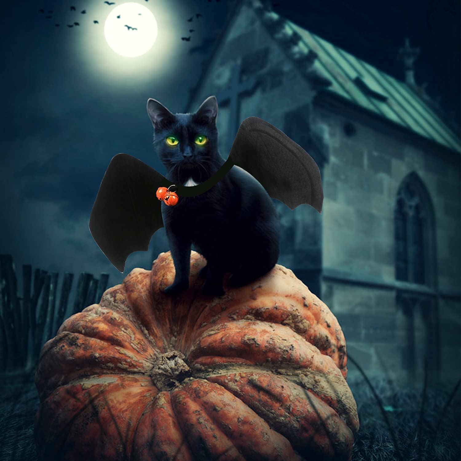 CCINEE Halloween Bat Wing Costume for Cats & Small Dogs - Adorable Black Bat Costume with Bells | Perfect for Halloween Pet Parties, Photo Shoots & Trick-or-Treating