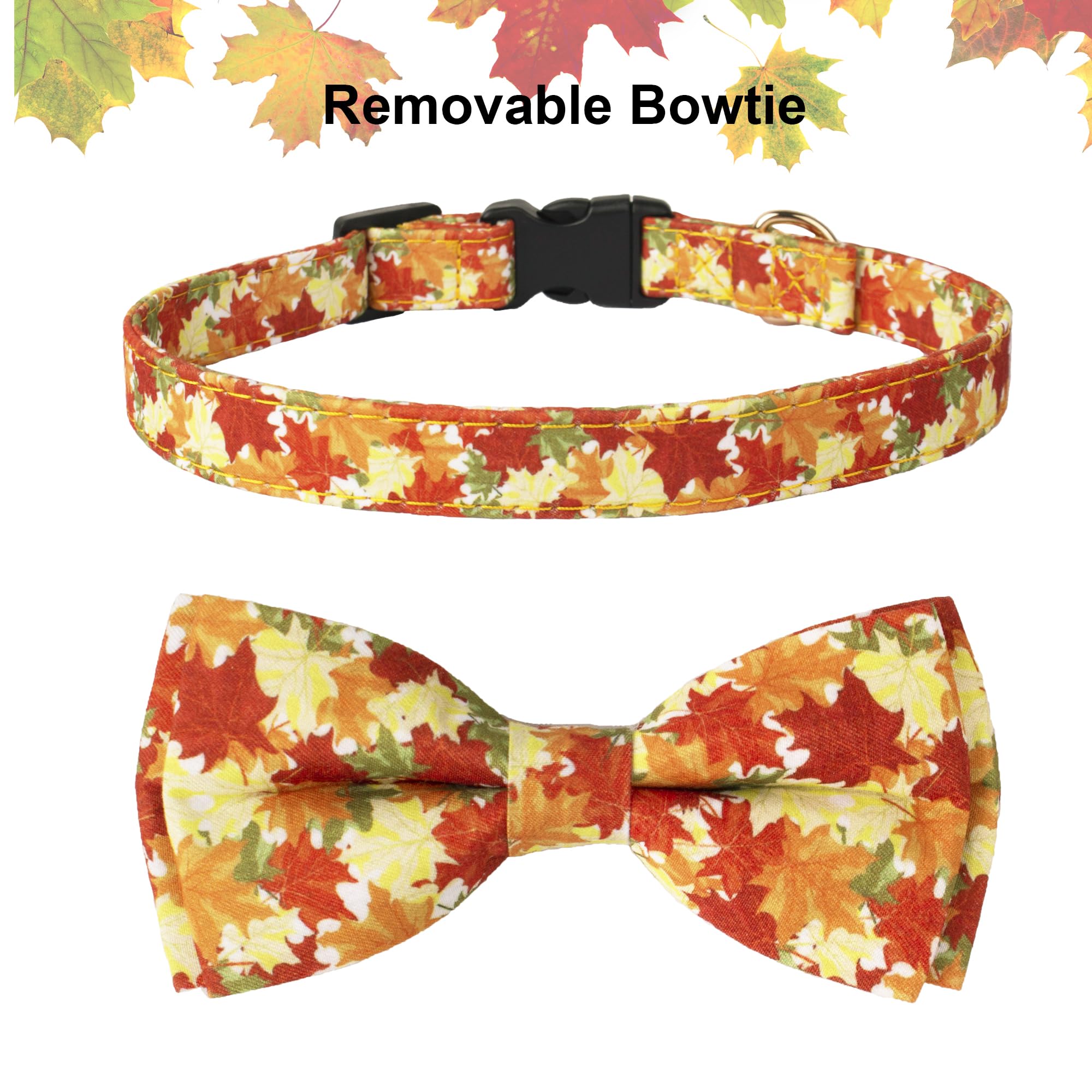 ADOGGYGO Adjustable Fall Dog Collar with Removable Bowtie - Autumn Leaves Pattern Thanksgiving Pet Collar for Small Medium Large Dogs - Perfect for Thanksgiving Photos & Seasonal Outings