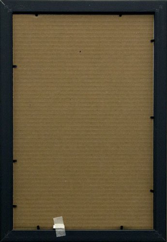 Frame USA Budget Saver Series 11x17 Polystyrene Poster Frames (Black) - Lightweight & Durable Wall Display for Photos, Artwork, and Posters - Perfect for Home, Office, and Classroom Decor