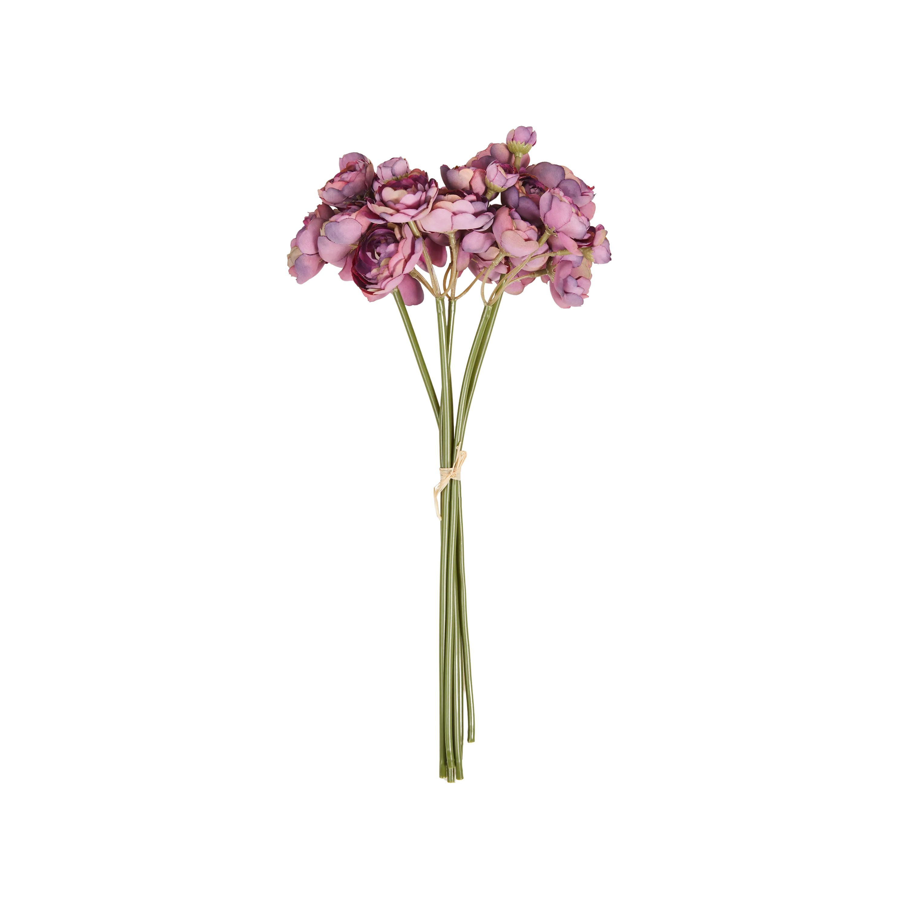 Fresh Ranunculus Flowers Bouquet - 10 Stems Bulk Wholesale for Wedding, Party, Home Decor & Floral Arrangements