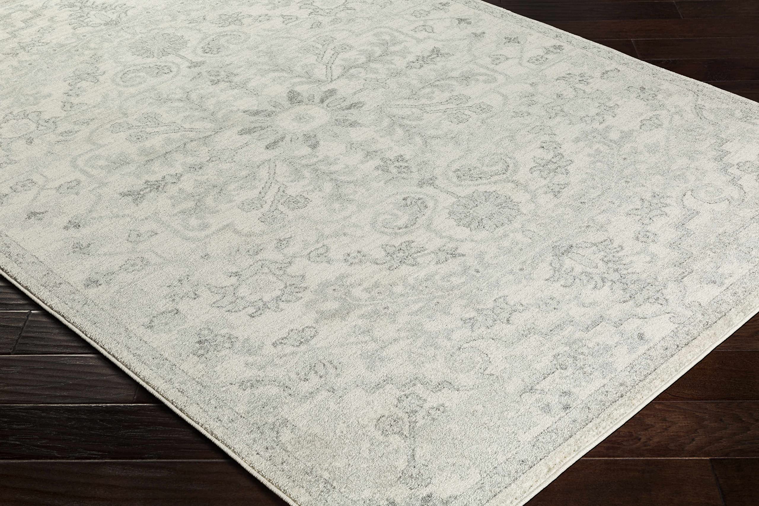 Premium Hauteloom Borowski Traditional Area Rug - Soft Gray & Beige 2' x 3' - Perfect for Living Room & Bedroom Decor