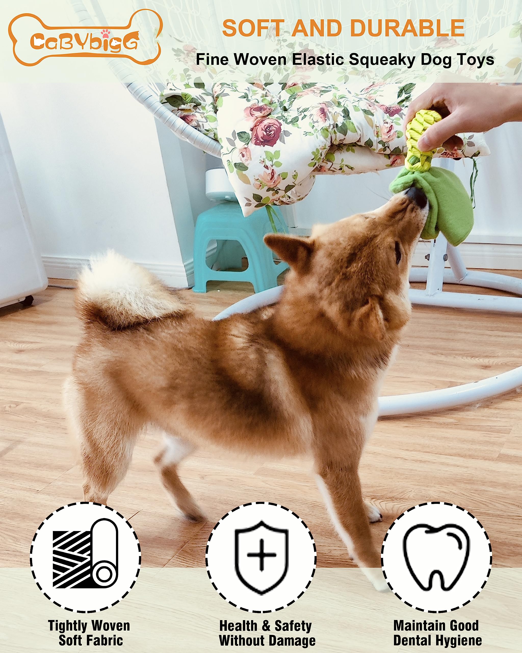 Durable Dog Squeaky Toys for Puppies - 2 Pack No Stuffing Chew Toys for Teething Small & Medium Dogs | Interactive Pet Toys for Indoor & Outdoor Play