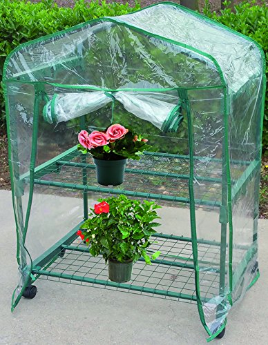 7972705 PVC Greenhouse with 2 Shelves - Durable Green Walk-in Plant House for Indoor/Outdoor Gardening, Seed Starting & Plant Protection