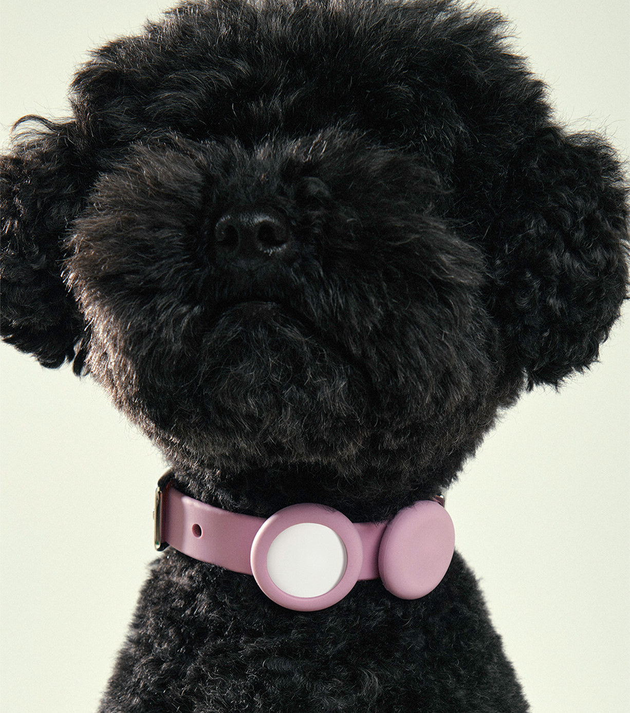 Universal Pet Safety Light - High Visibility LED Collar for Dogs & Cats - Perfect for Night Walks & Outdoor Adventures