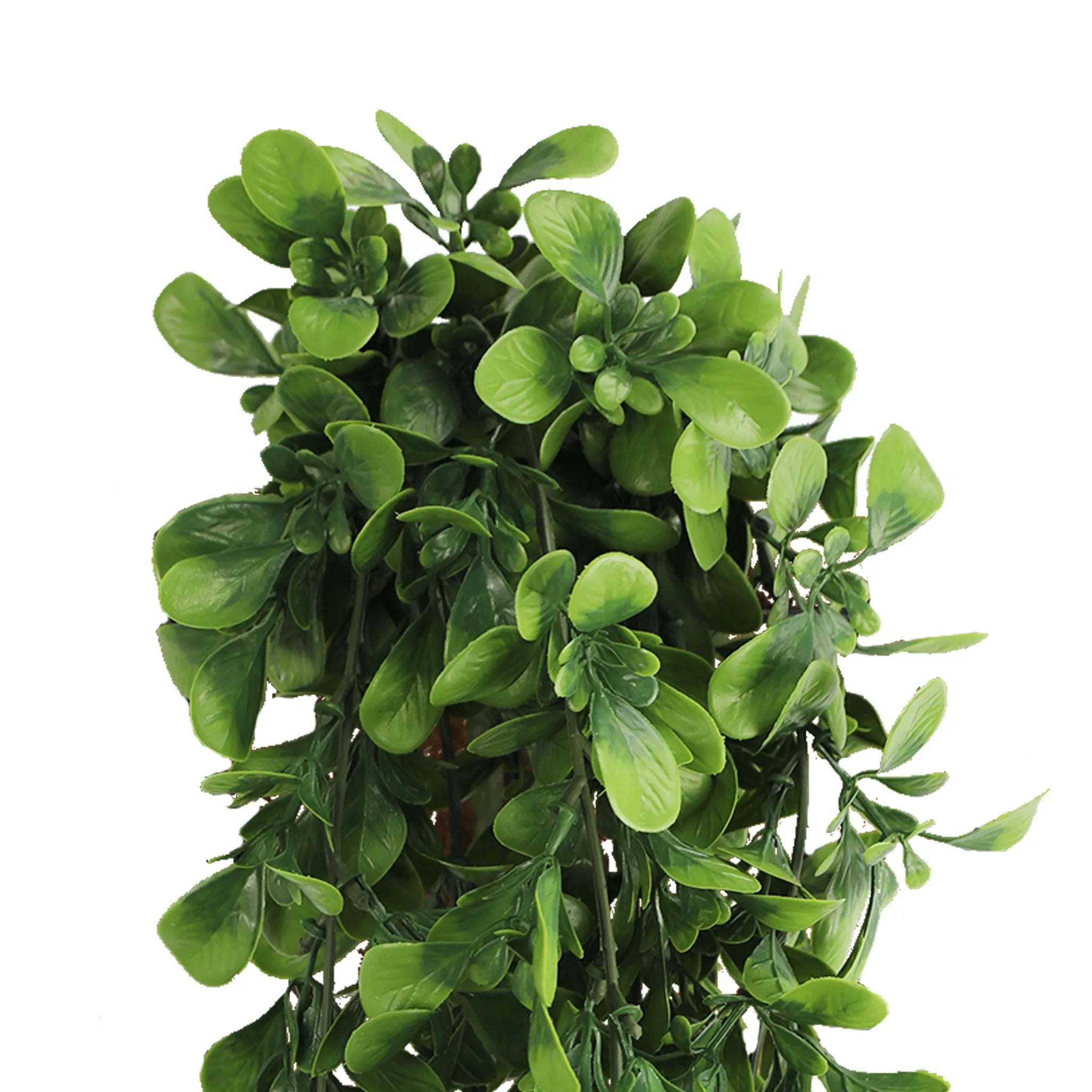 UV & Fire Rated Hanging Creeping Fig Vine - 18cm x 76cm Artificial Green Wall Decor for Indoor/Outdoor Home & Office Decoration