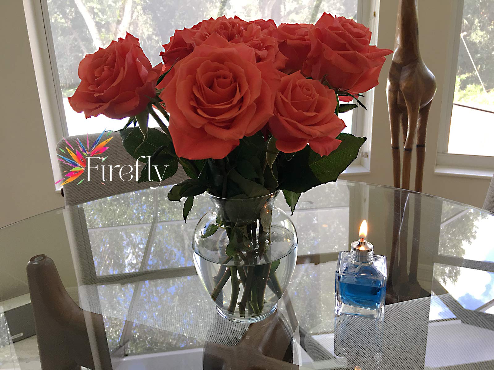 Firefly Aura Square Glass Oil Lamp - Refillable for Home Decor