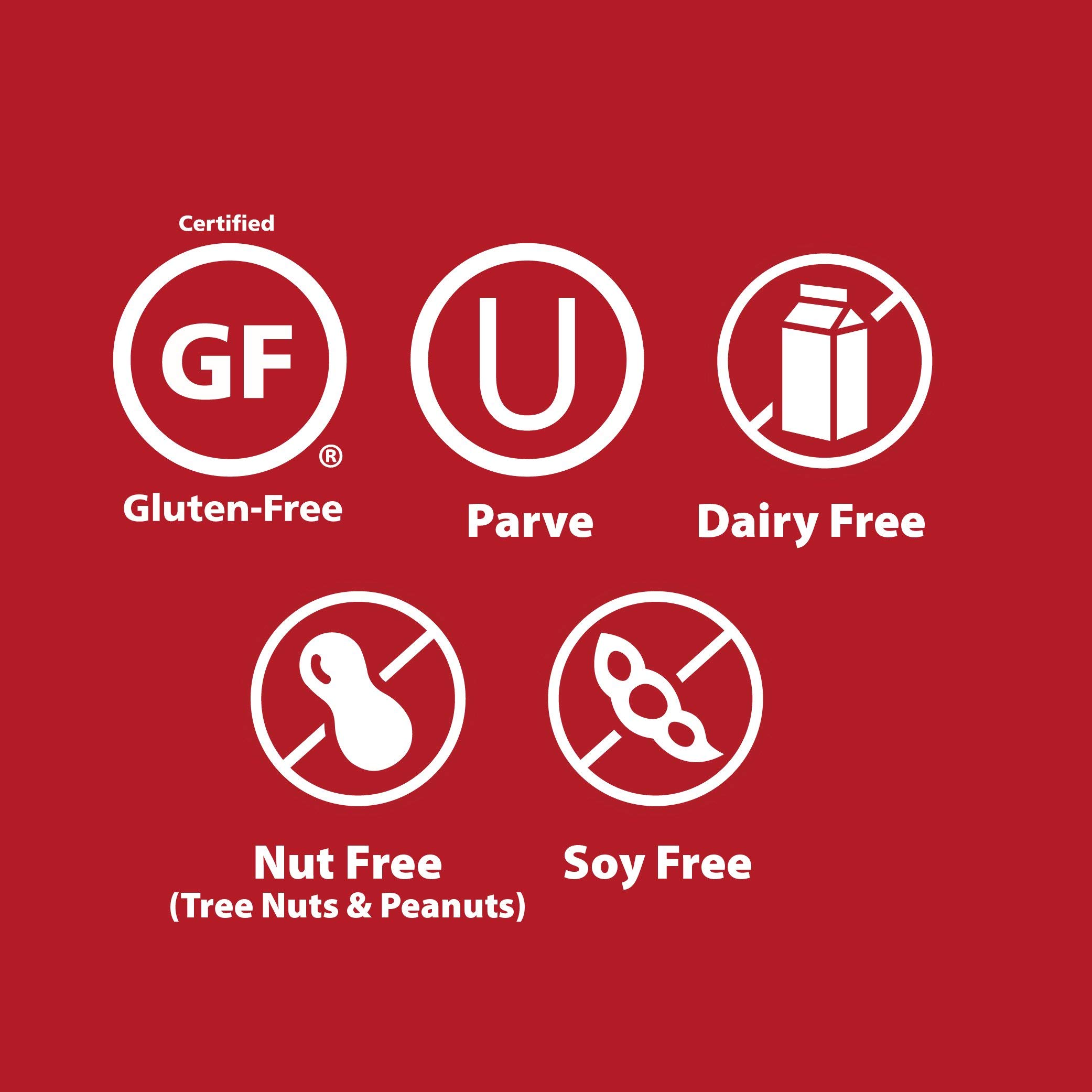 Katz Gluten Free Chocolate Frosted Donuts - Dairy Free, Nut Free, Soy Free, Kosher Certified (6 Packs of 6 Donuts, 14oz) | Perfect for Snacking, Breakfast & Special Diets