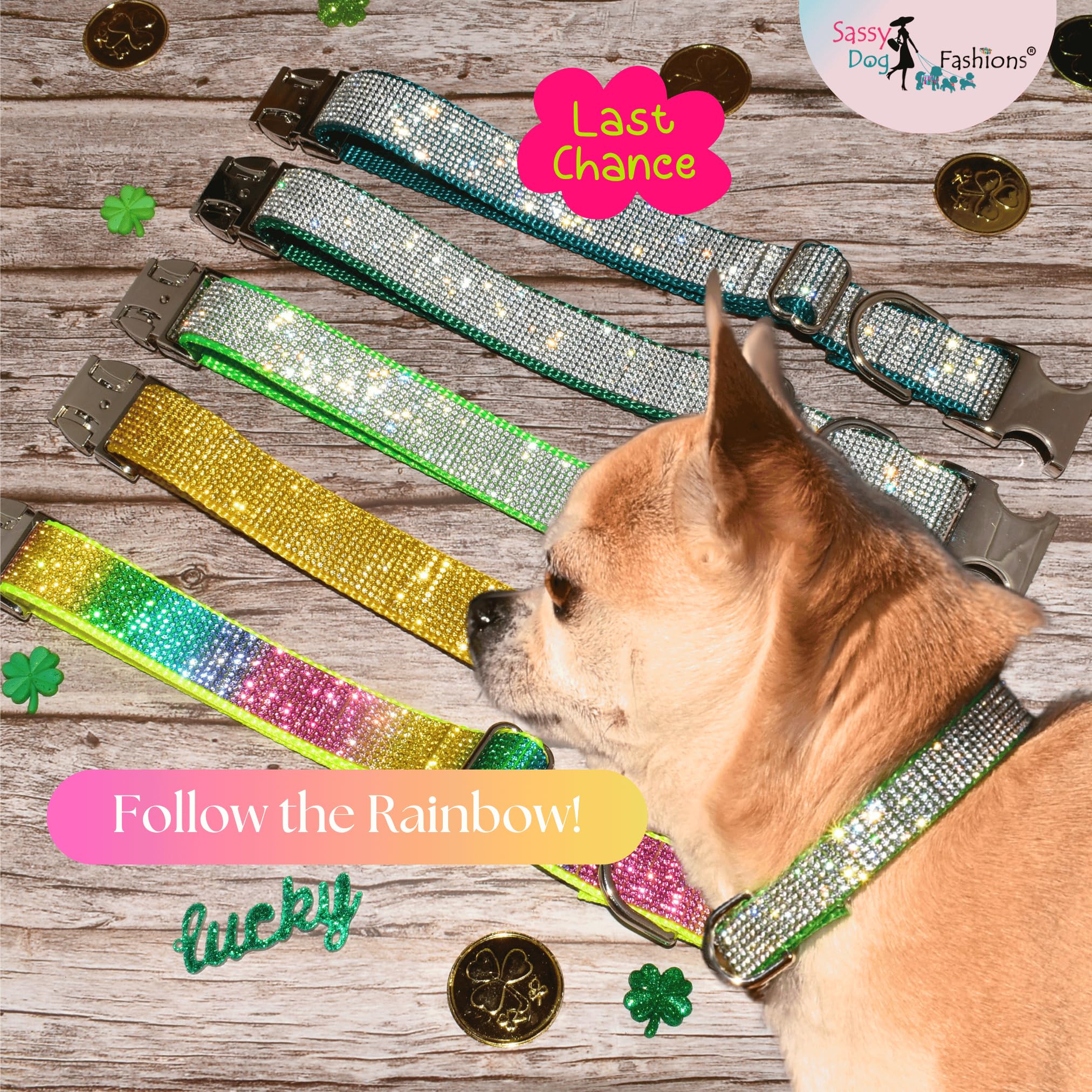 Handmade Rhinestone Dog Collar - Sparkling Crystal Diamond Pet Collar for Small, Medium, Large & Giant Dogs | 1000+ Color Options | 1