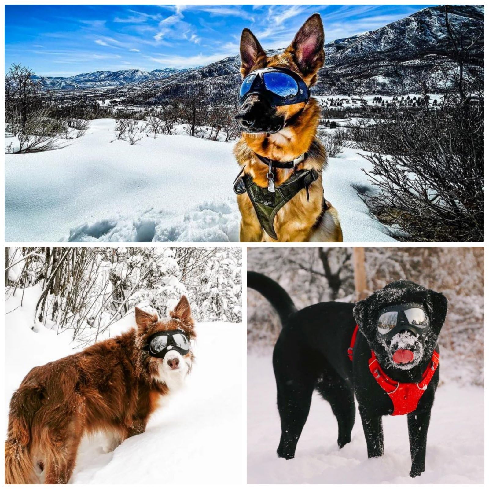 **Namsan Dog Goggles for Large Dogs – UV Protection, Soft Frame, Adjustable Fit – Tactical Dog Sunglasses for Summer Driving & Winter Snow – Medium to Large Breeds with Wide Snout (Black)**    *Perfect for outdoor adventures, beach trips, hiking, and snowy terrain to keep your dog's eyes safe and comfortable!*