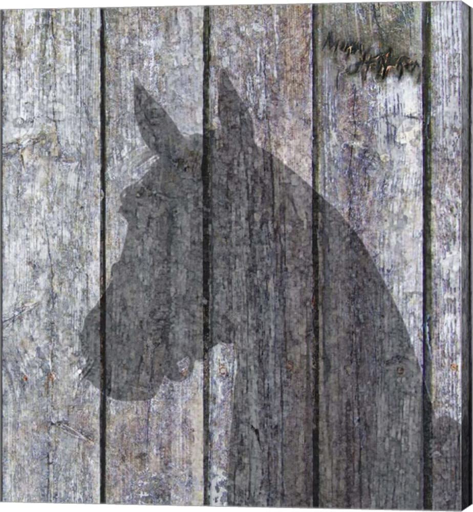 Horse Shadow by Murray Henderson - Fine Art Canvas Wall Decor, Gallery Wrapped Painting, 15x16 Inches - Perfect for Living Room, Bedroom & Office Decor