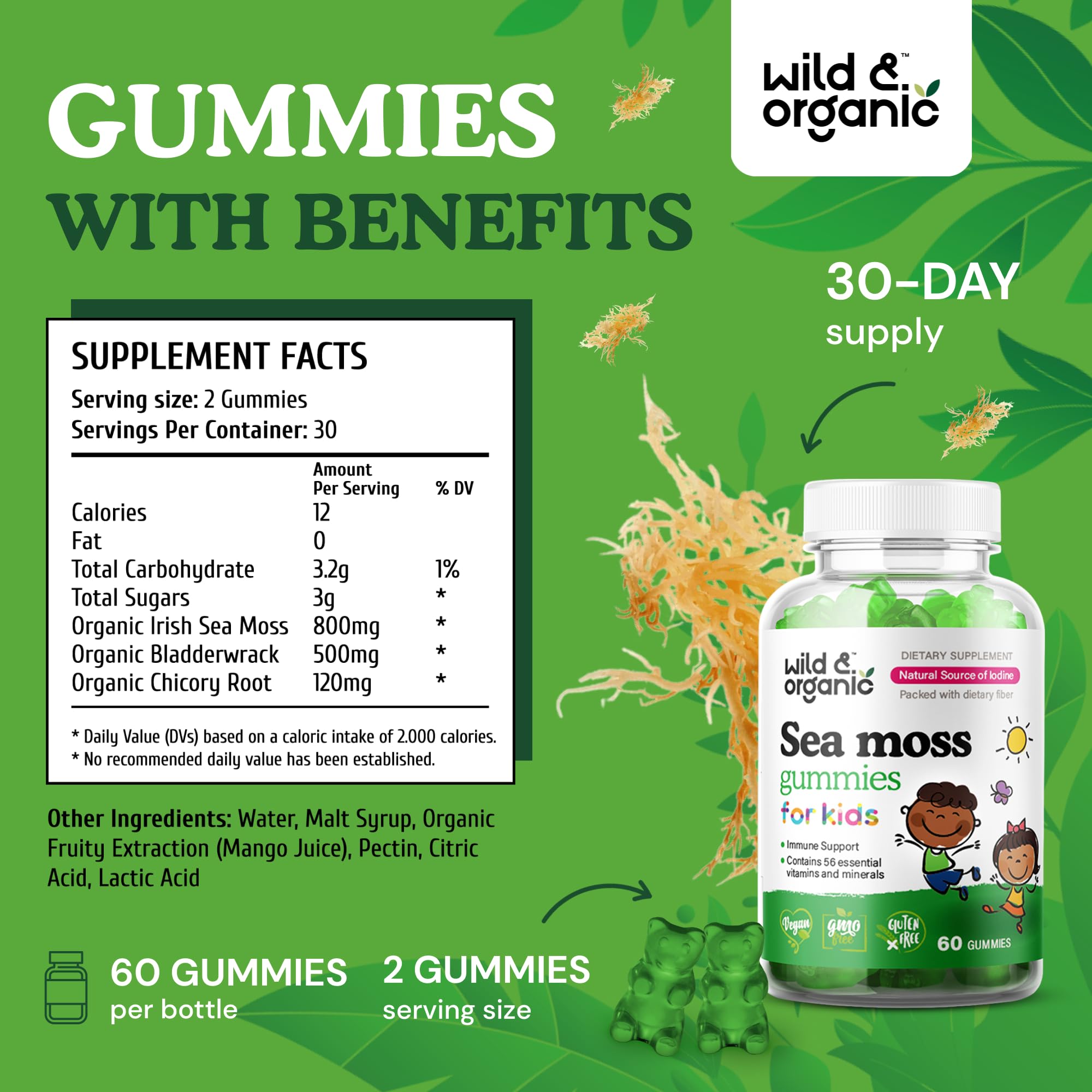 Organic Sea Moss Gummies for Adults & Kids - Wild Harvested, Vegan, Immune Support - Perfect for Daily Wellness & Family Health