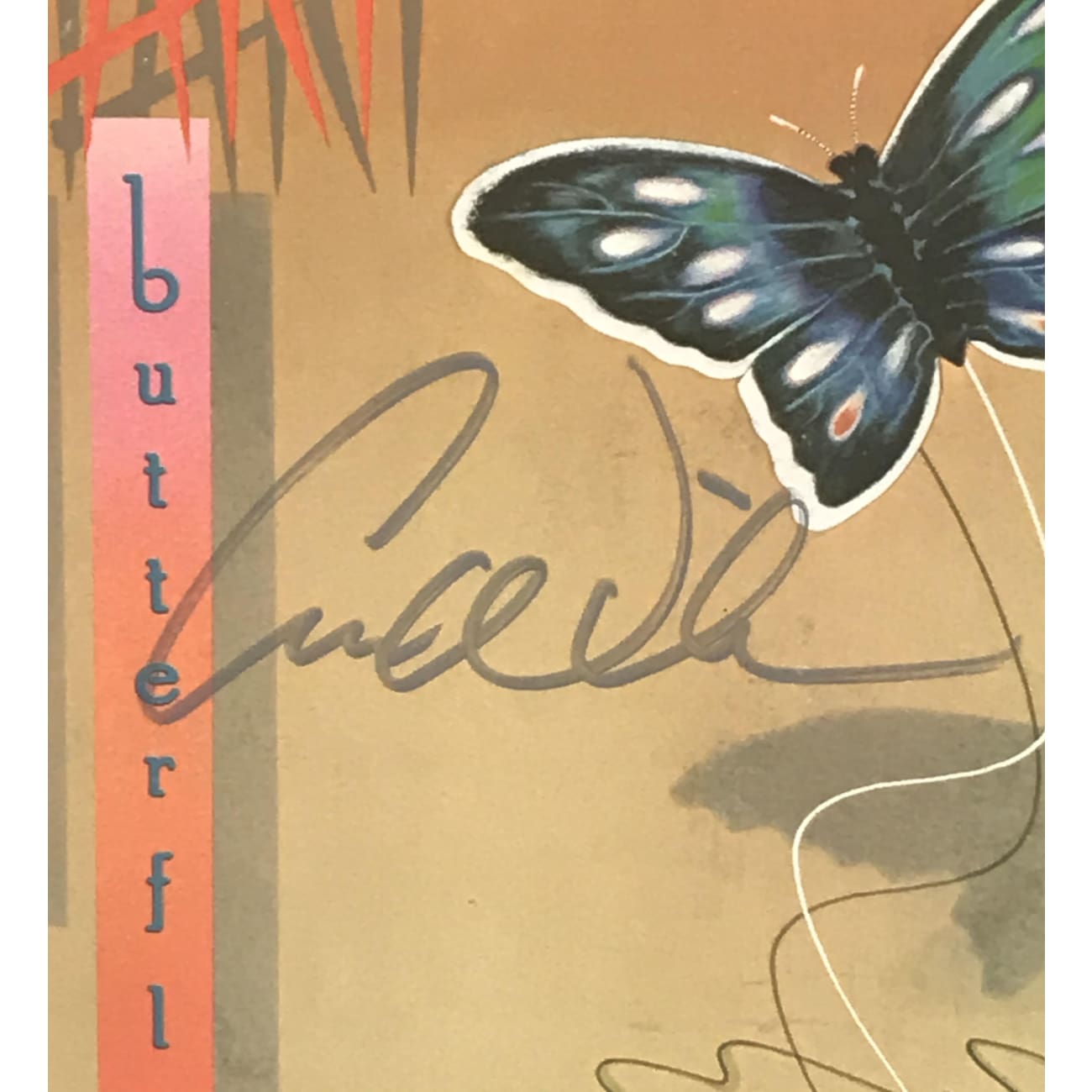 Heart Dog & Butterfly Album Signed by Ann and Nancy Wilson with JSA COA - Limited Edition Vinyl Record for Music Collectors & Rock Fans