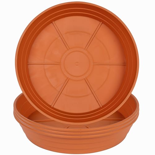 Terracotta