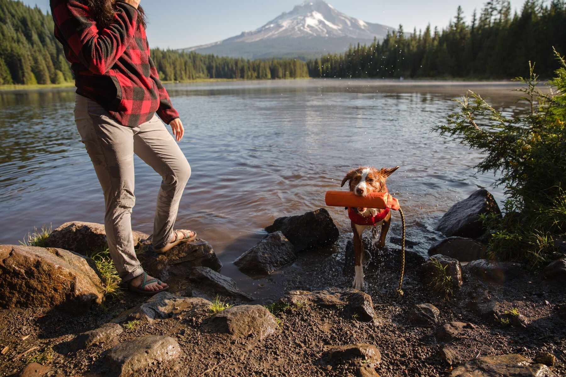 Ruffwear Lunker Floating Foam Dog Toy for Water Play - Campfire Orange, Durable & Fun Chew Toy for Swimming, Fetch & Outdoor Adventures