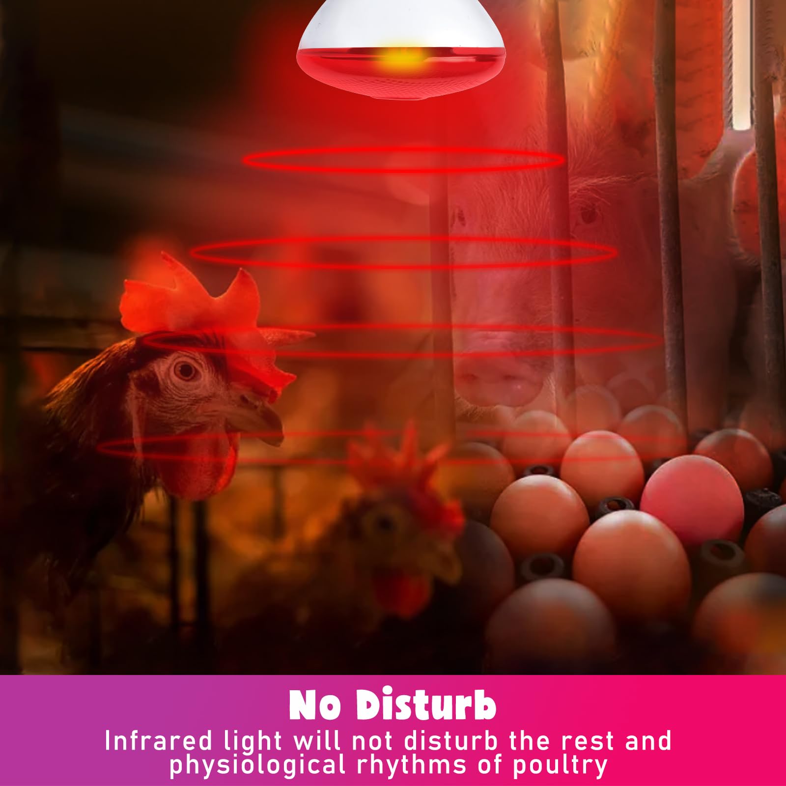 LUCKY HERP 250W Red Infrared Heat Lamp Bulb for Chicken Coop Brooder, Reptile Terrarium & Pet Warming - 1 Pack - Ideal for Poultry, Reptiles, and Food Service Heating