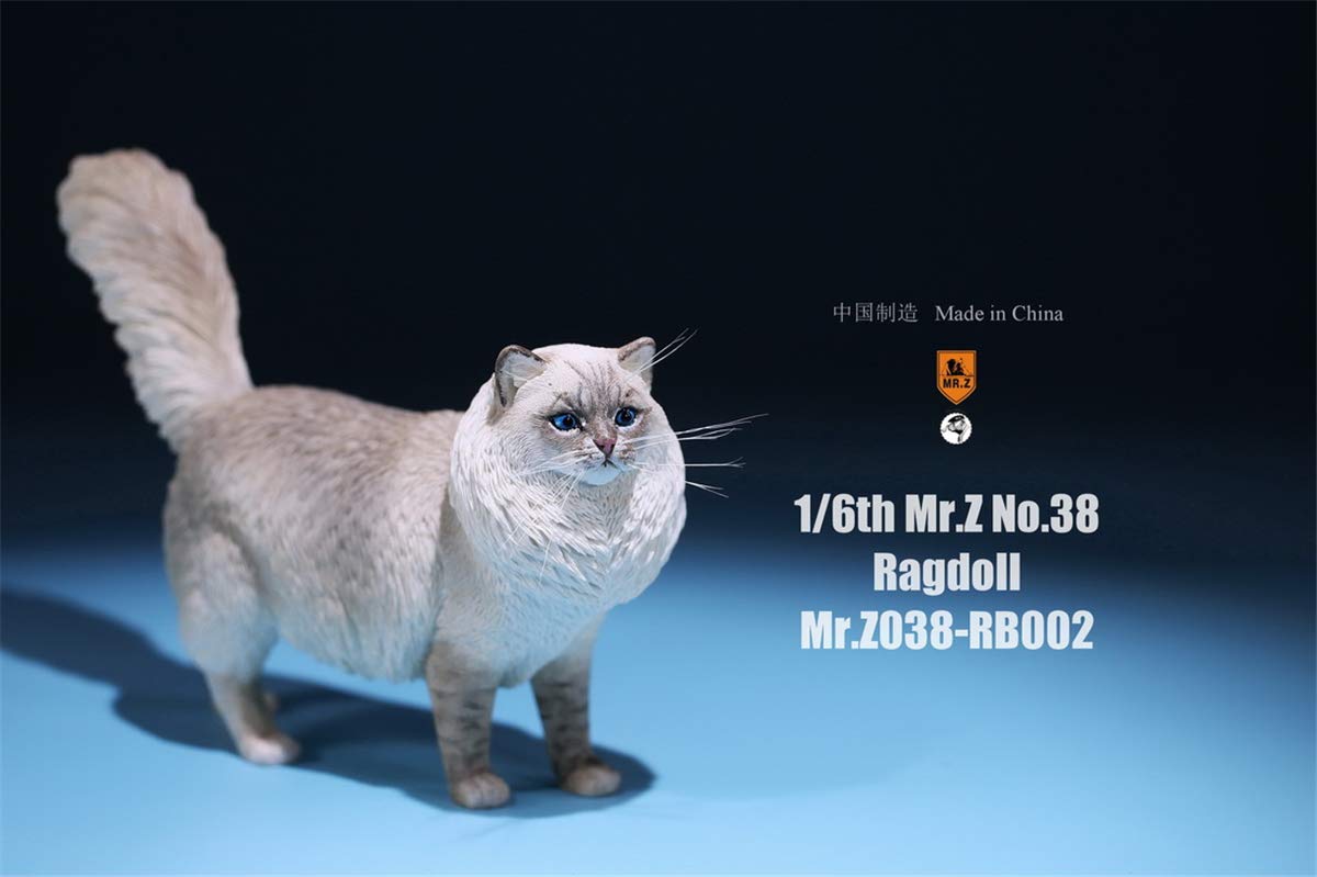 1:6 Scale Realistic Ragdoll Cat Pet Figure - Lifelike Felidae Animal Model for Home Decor, Collectors & Dollhouse Miniature Scenes