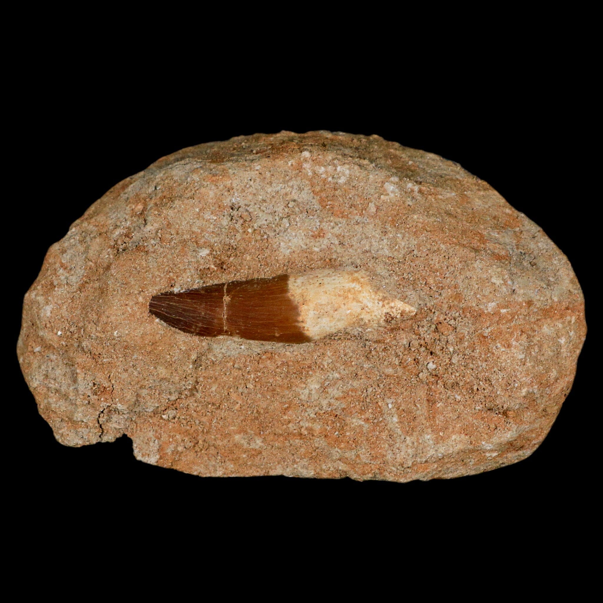 1.7
