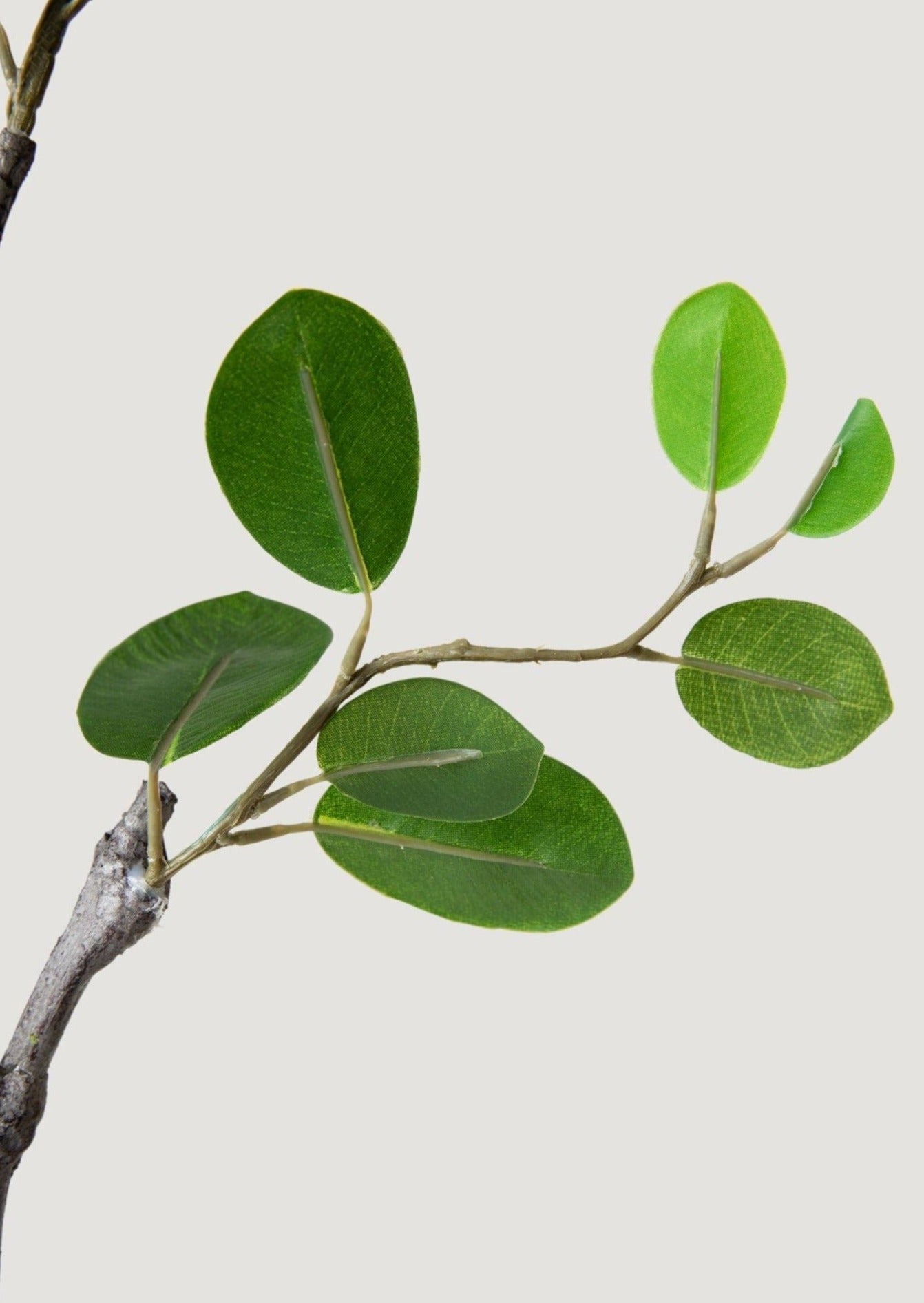 Artificial Italian Ficus Branch - 38
