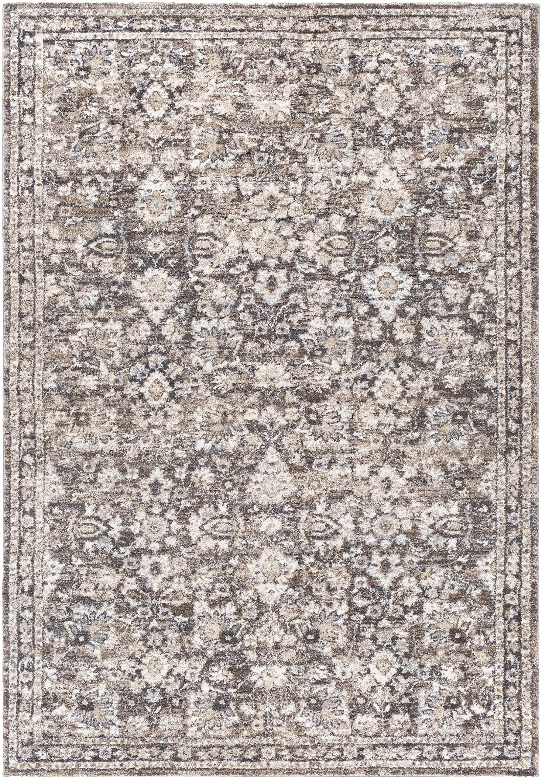 Hauteloom Talihina Soft High Pile Area Rug for Living Room & Bedroom - 2' x 3' - Gray, Beige, Brown - Plush & Cozy Home Decor for Relaxing Spaces