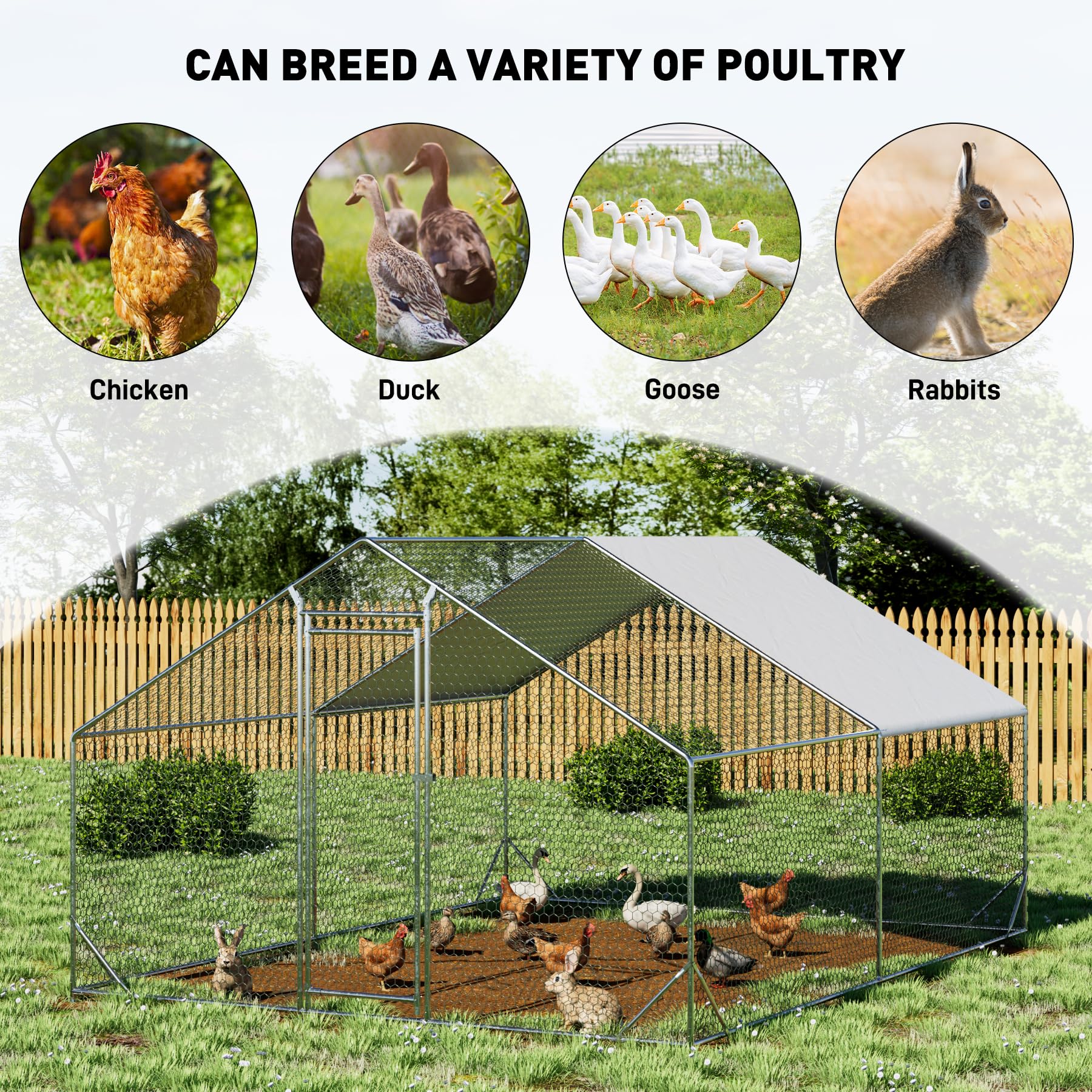 **OUYESSIR Large Walk-in Metal Chicken Coop with Waterproof Spire Roof - 10'L x 13'W x 6.56'H Outdoor Poultry Cage for Chickens, Rabbits & Ducks - Durable Backyard Farm Habitat for Small Animals (Silver)**    *(Perfect for Backyard Farming, Urban Homesteading, and Small Animal Protection from Predators & Weather)*