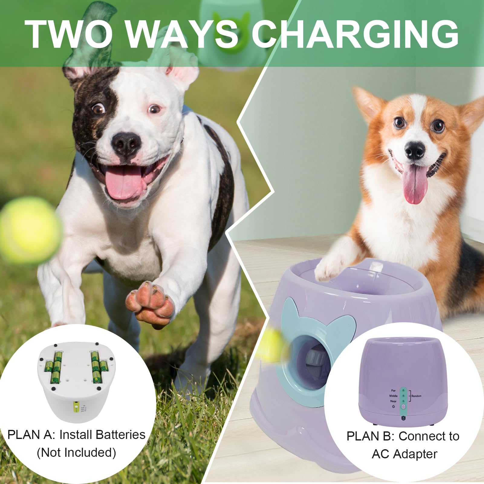 Automatic Dog Ball Launcher for Small to Medium Dogs - Interactive Pet Toy with Remote Control & 3 Tennis Balls (Purple) - Perfect for Backyard Play, Training, and Exercise