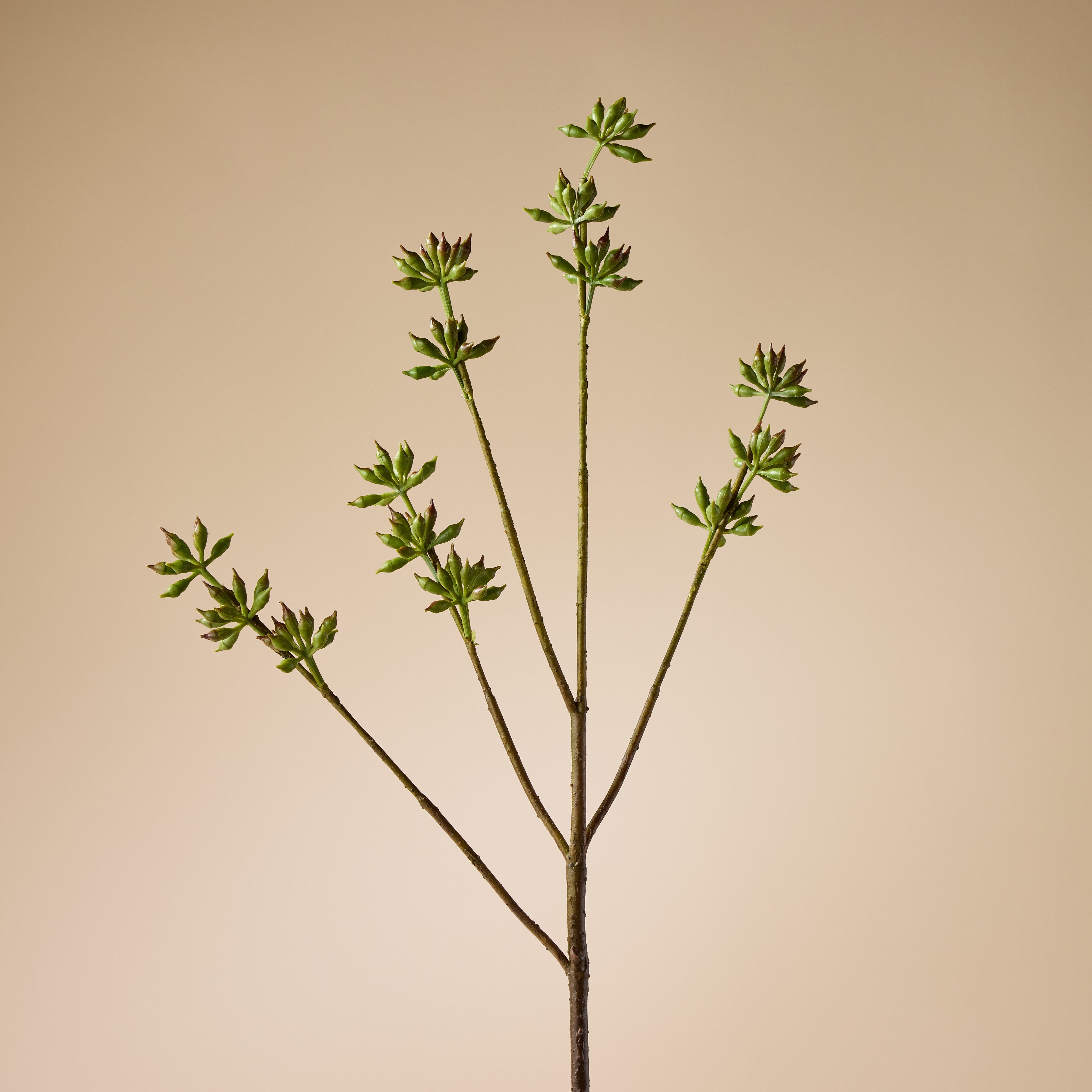 Artificial Eucalyptus Seeding Spray - 33 Inch Green Faux Eucalyptus Stems for Home Decor, Wedding Centerpieces, and Floral Arrangements