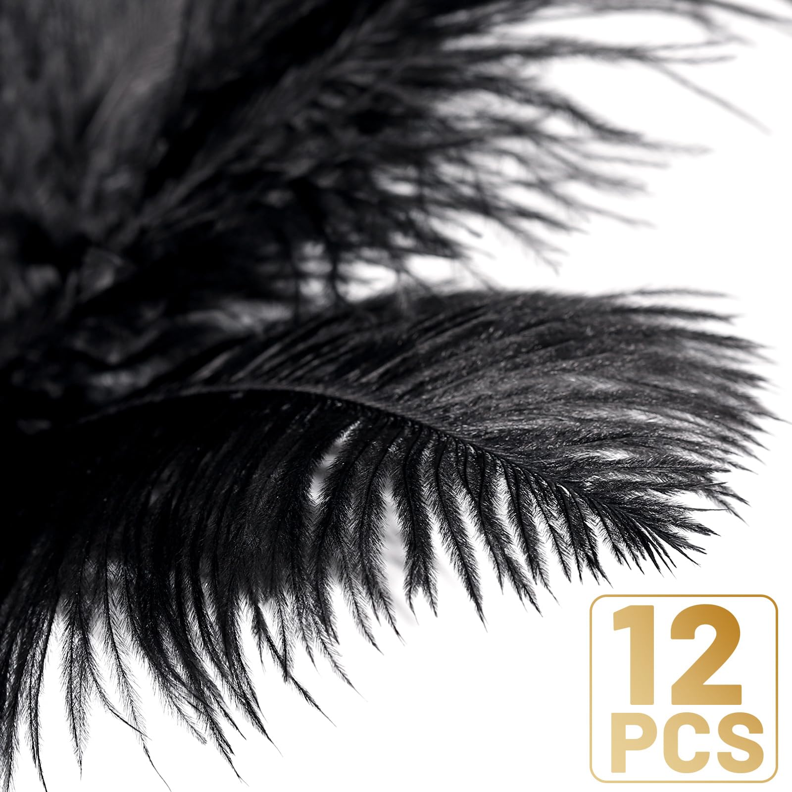 FANDAMEI 12 Pack Black Ostrich Feathers 10-12 Inch (25-30cm) for DIY Crafts, Wedding Centerpieces, Table Decor, Home & Party Decoration - Perfect for Bohemian Decor, Costume Accessories, and Photo Props
