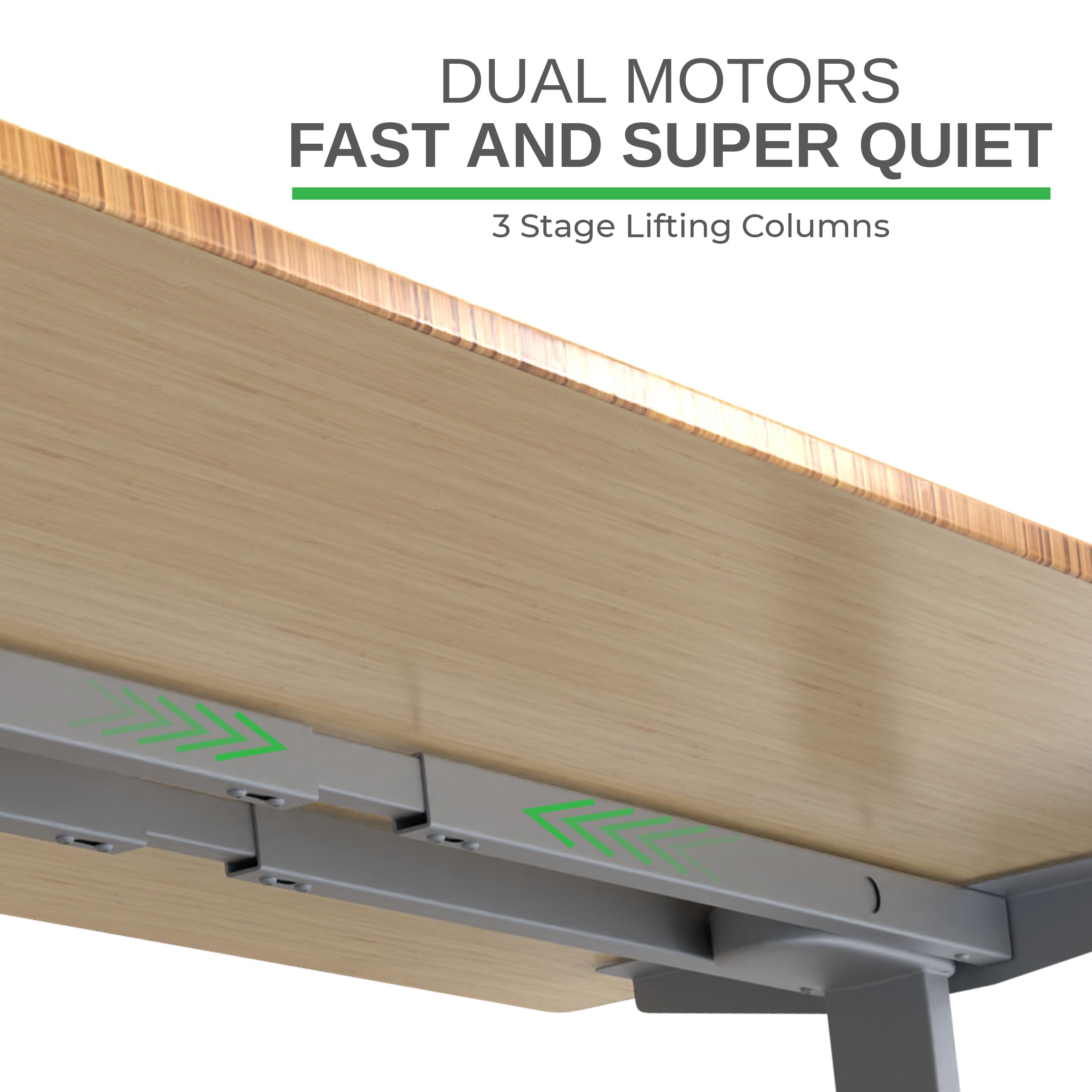 Dual Motor Electric Standing Desk 60x30