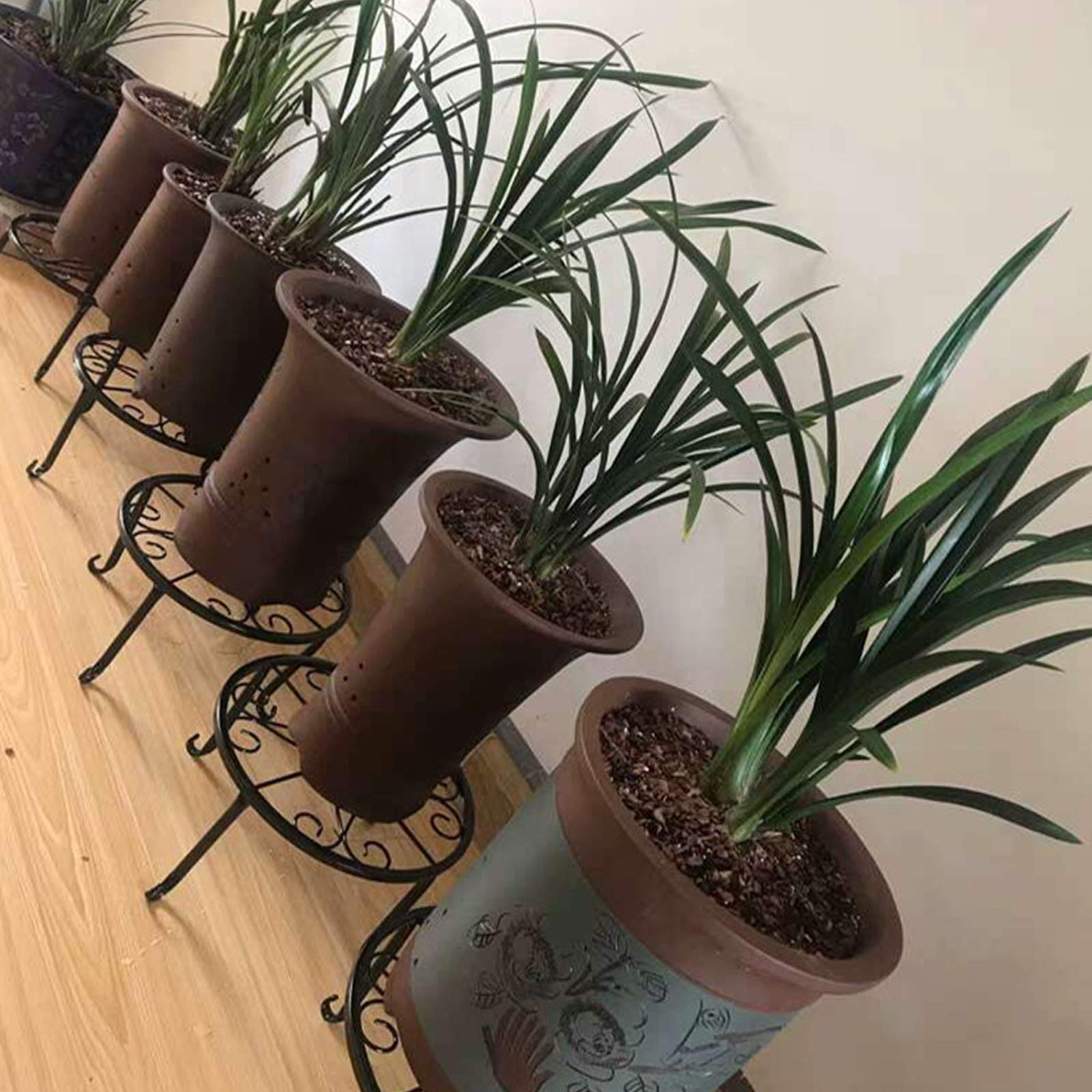 3 Pack Black Metal Plant Stands for 9 Inch Round Flower Pots - Indoor Outdoor Garden, Patio, Balcony Decor - Perfect for Succulents, Herbs, and Small Plants