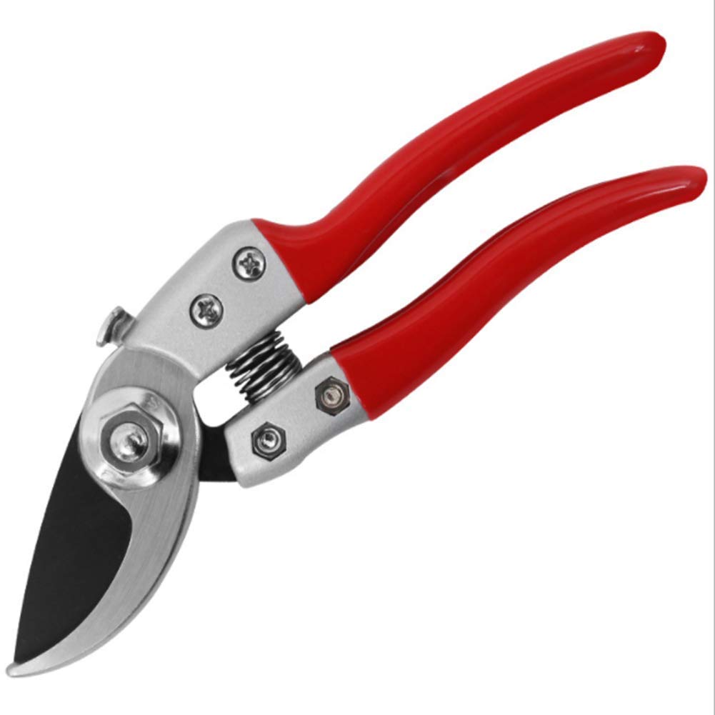 Heavy Duty Bypass Pruning Shears - Professional Garden Scissors for Trimming Trees, Shrubs, and Plants - Perfect for Landscaping, Gardening, and Outdoor Maintenance